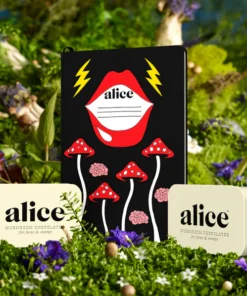 Alice mushrooms Brainstorm Chocolate