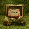 Alice mushroom chocolates Collectors Edition Set