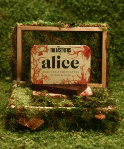 Alice mushroom chocolates Collectors Edition Set