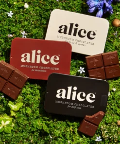 Alice mushrooms Discovery Set