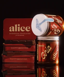 Alice mushroom chocolates Happy Ending Ghianduja