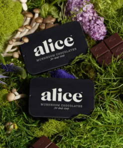 Alice mushrooms Nightcap Chocolate