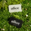 Alice mushrooms The Duo Bundle
