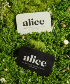 Alice mushrooms The Duo Bundle