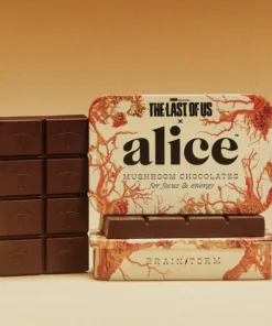 The last of us x Alice Chocolate
